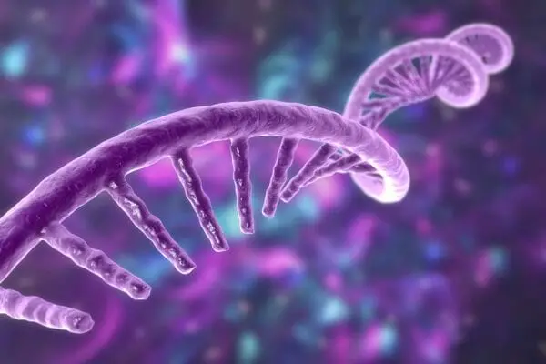 single helix rna