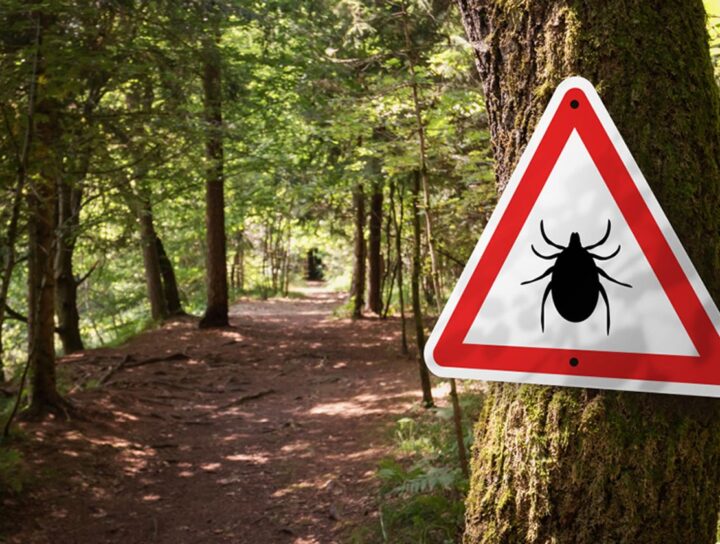 Picture of tick warning sign